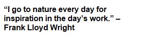 A quote from john wright.